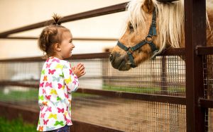 devojcica gleda konja i raduje se